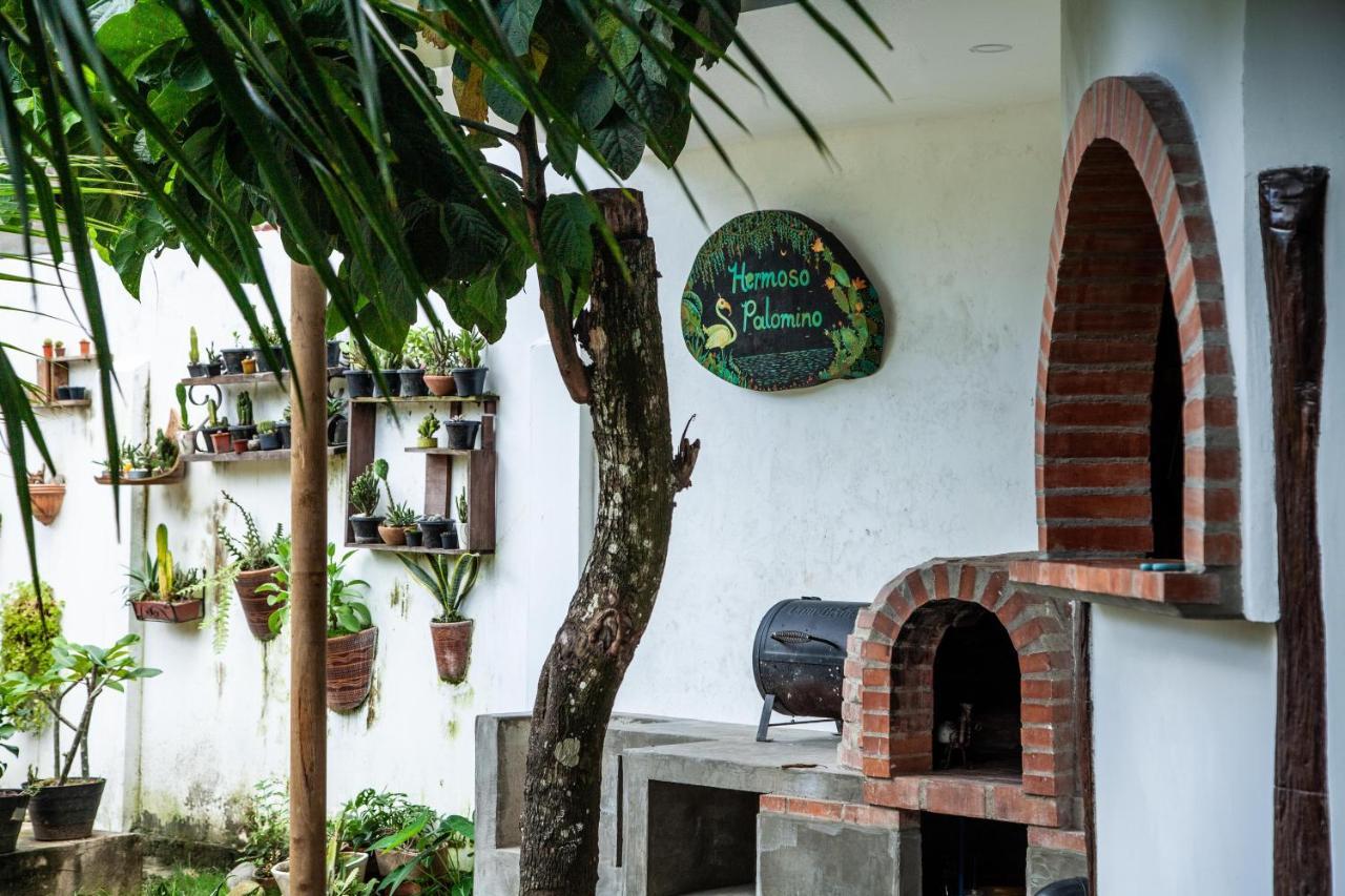 Hostal Hermoso Palomino Esterno foto