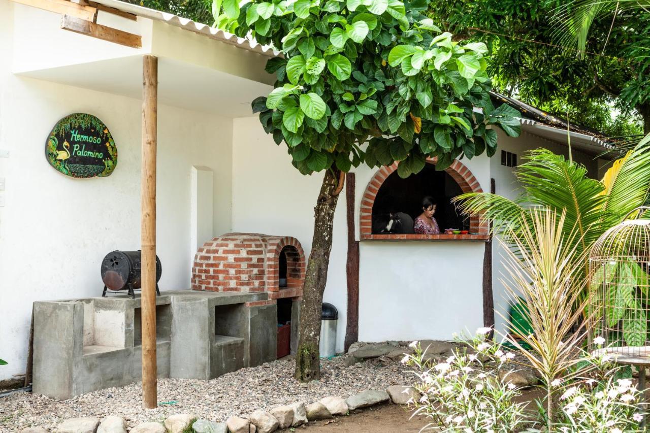 Hostal Hermoso Palomino Esterno foto