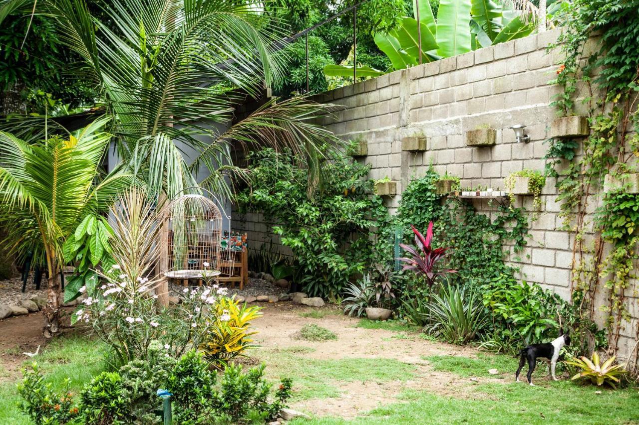 Hostal Hermoso Palomino Esterno foto