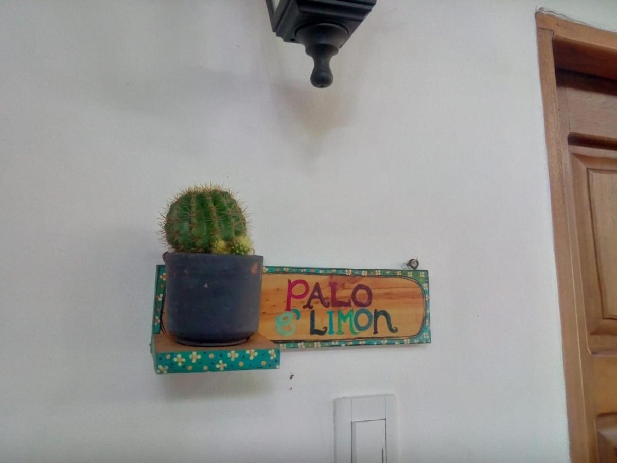 Hostal Hermoso Palomino Esterno foto