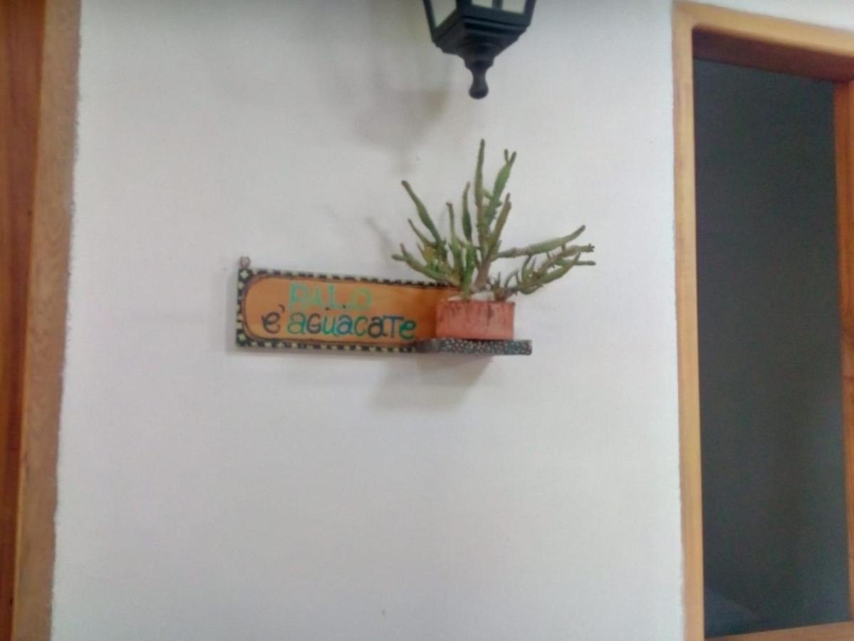 Hostal Hermoso Palomino Esterno foto