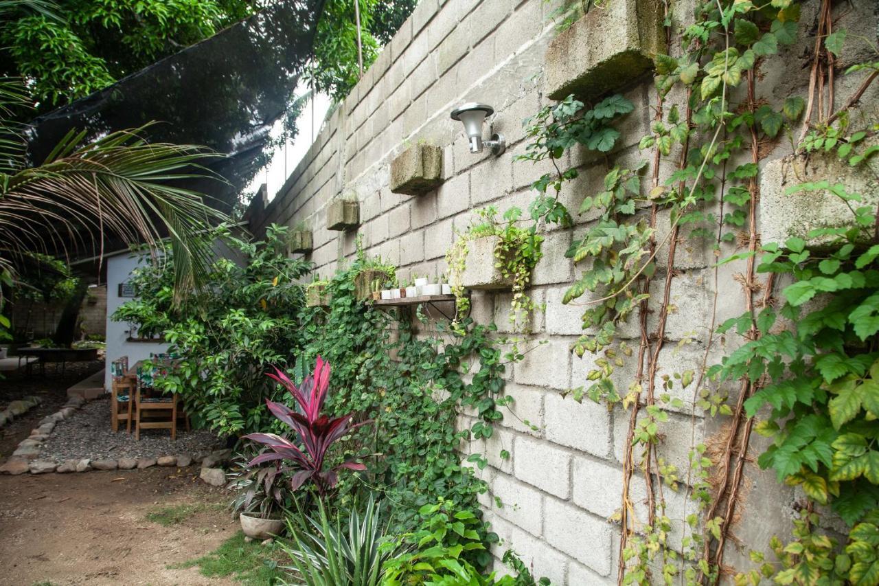 Hostal Hermoso Palomino Esterno foto